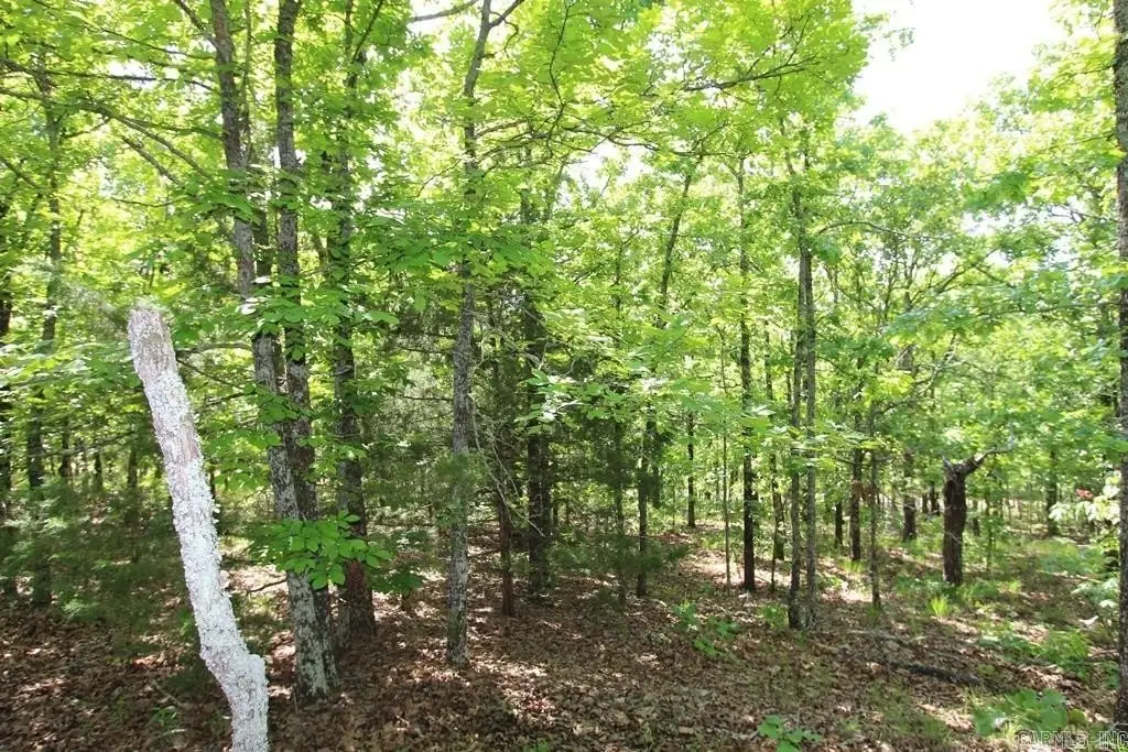 Picture 12