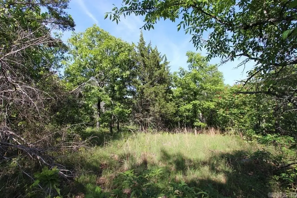 Picture 11