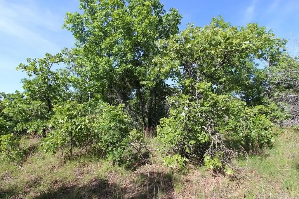 Picture 10