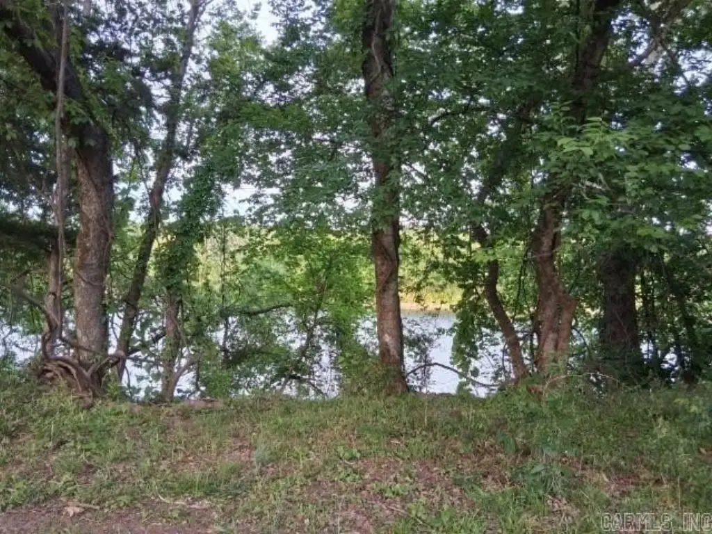 Picture 13
