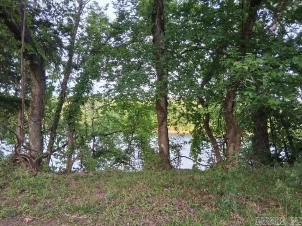 Picture 14
