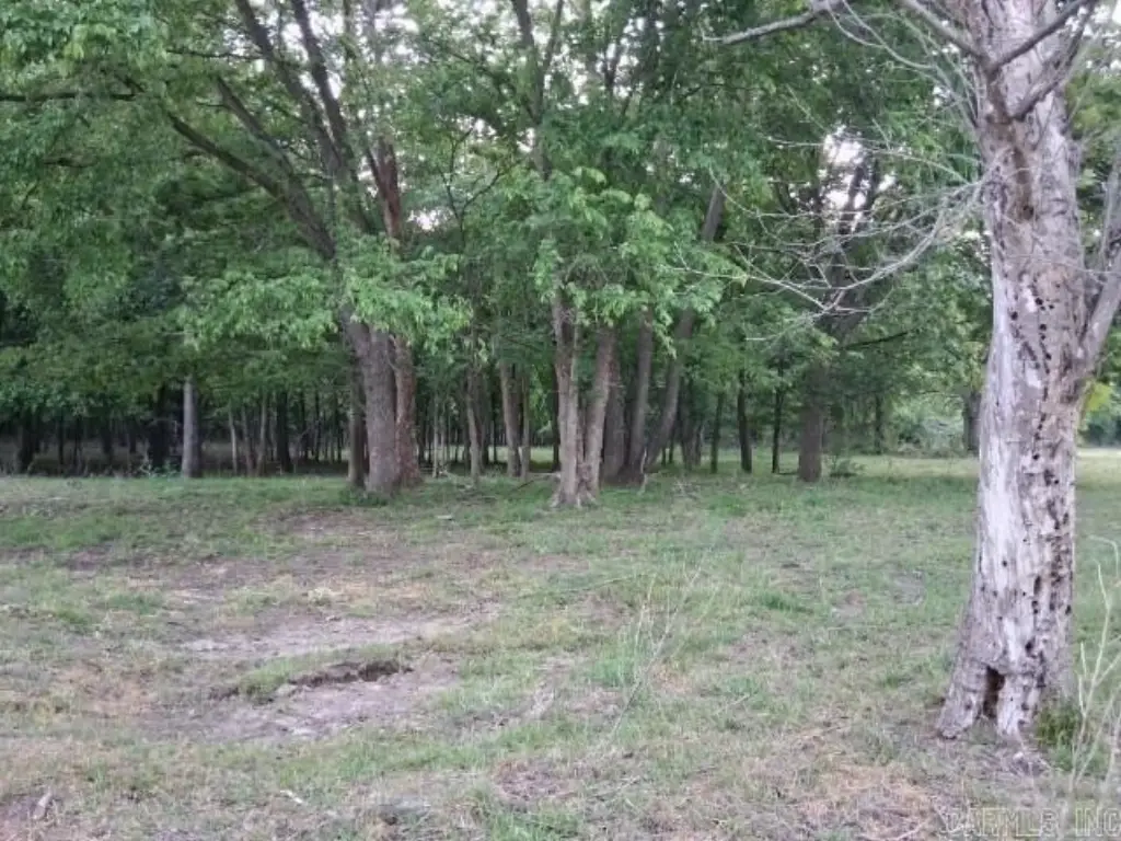 Picture 4