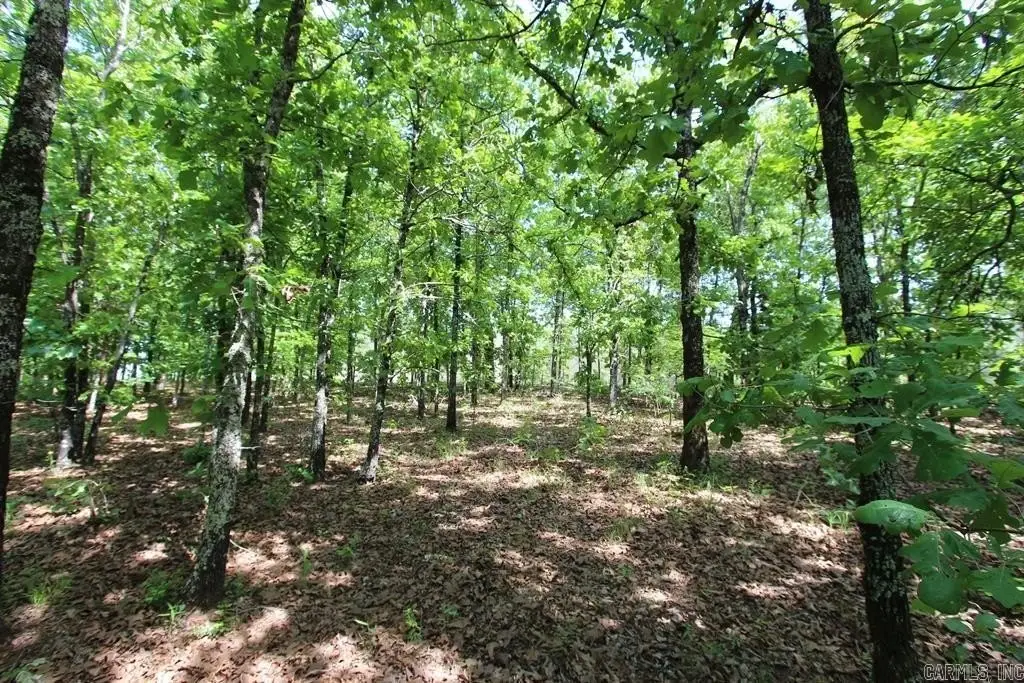 Picture 14