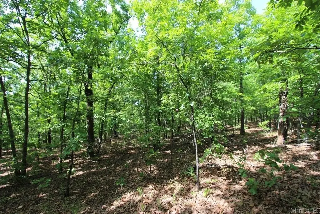 Picture 12