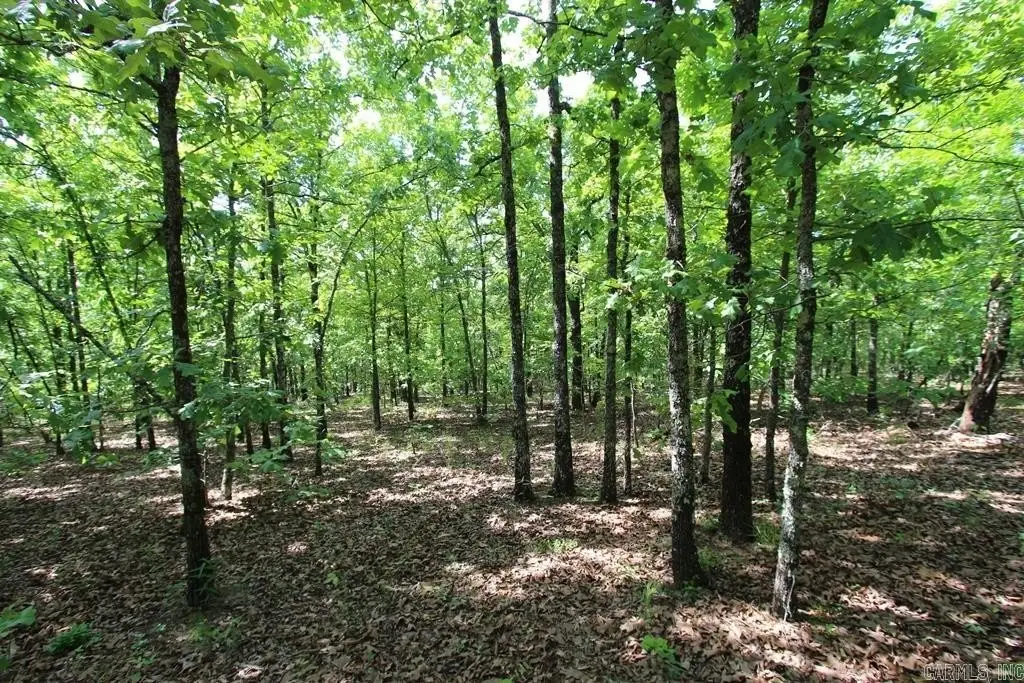 Picture 9