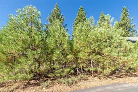Residential Lot in Truckee, CA