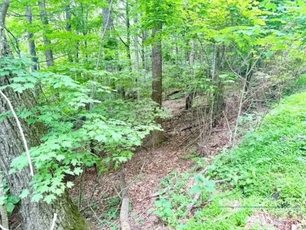 Picture 5