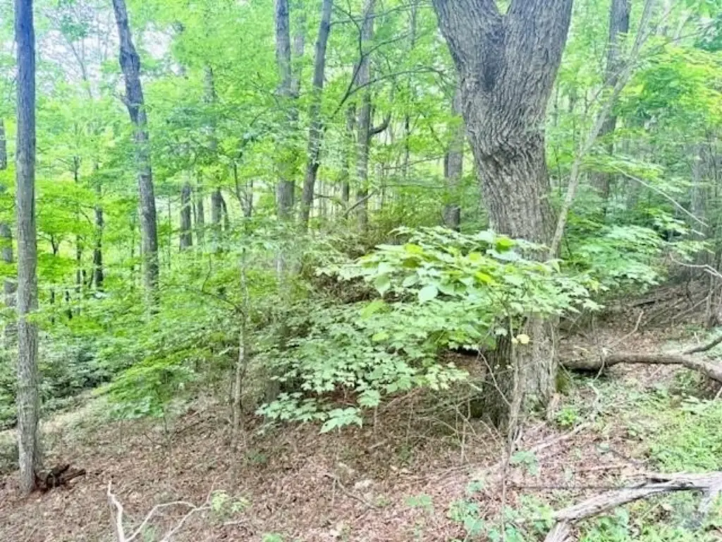 Picture 6