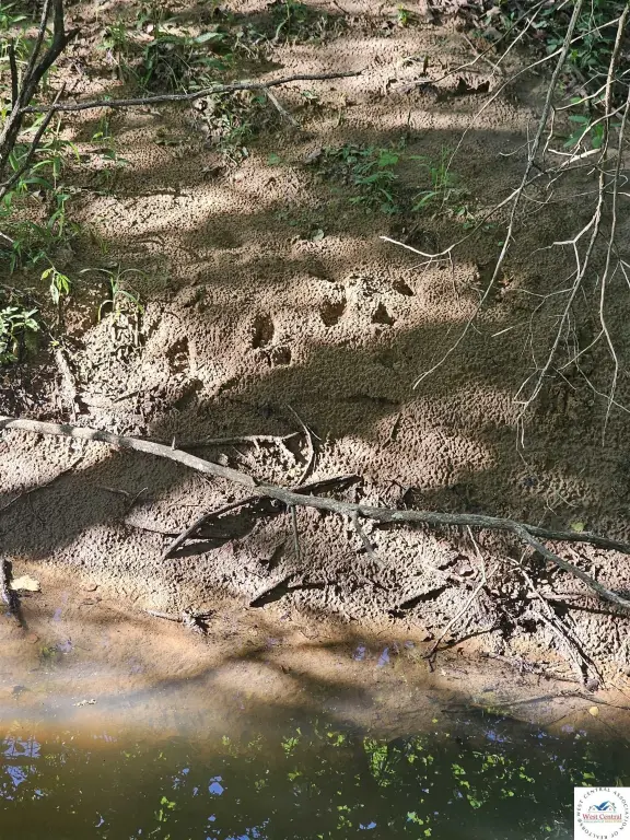 Picture 25