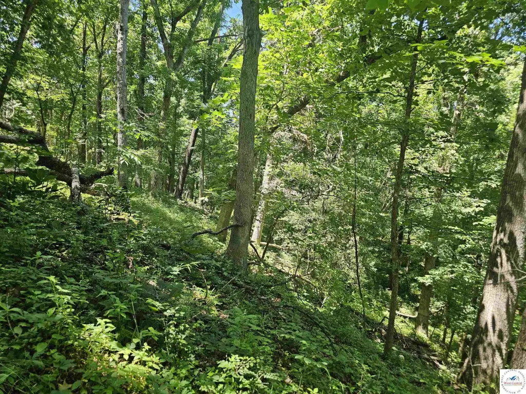 Picture 47