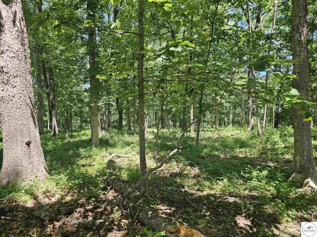 Picture 38