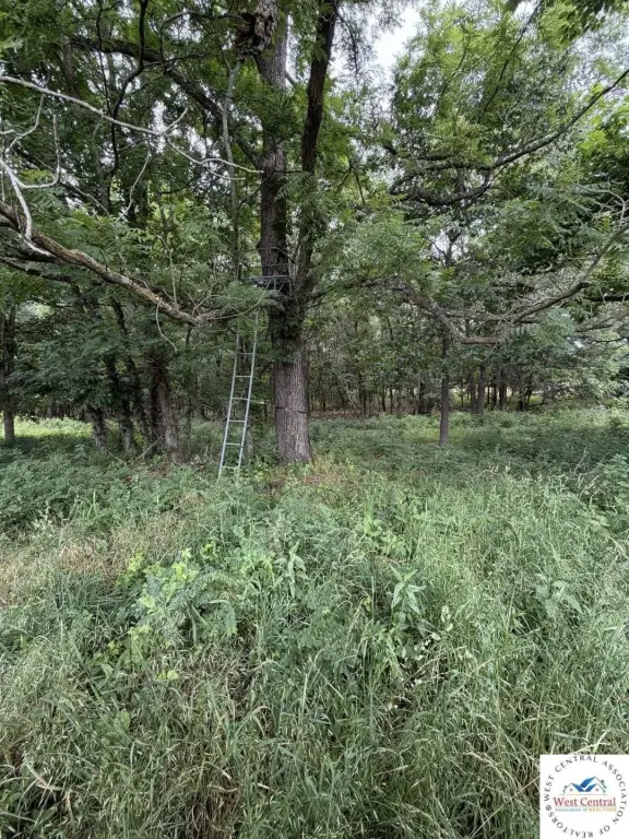 Picture 14