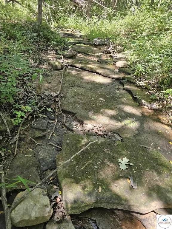 Picture 35