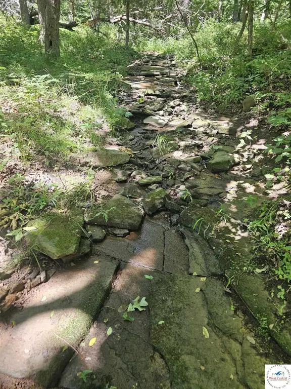 Picture 44