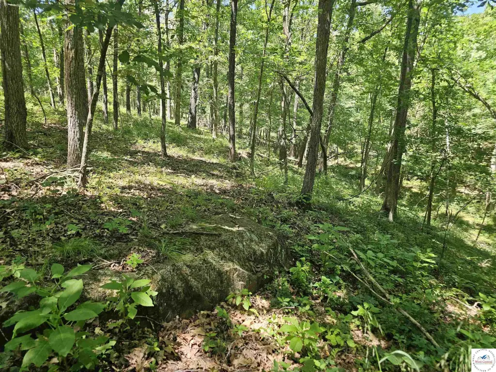 Picture 36