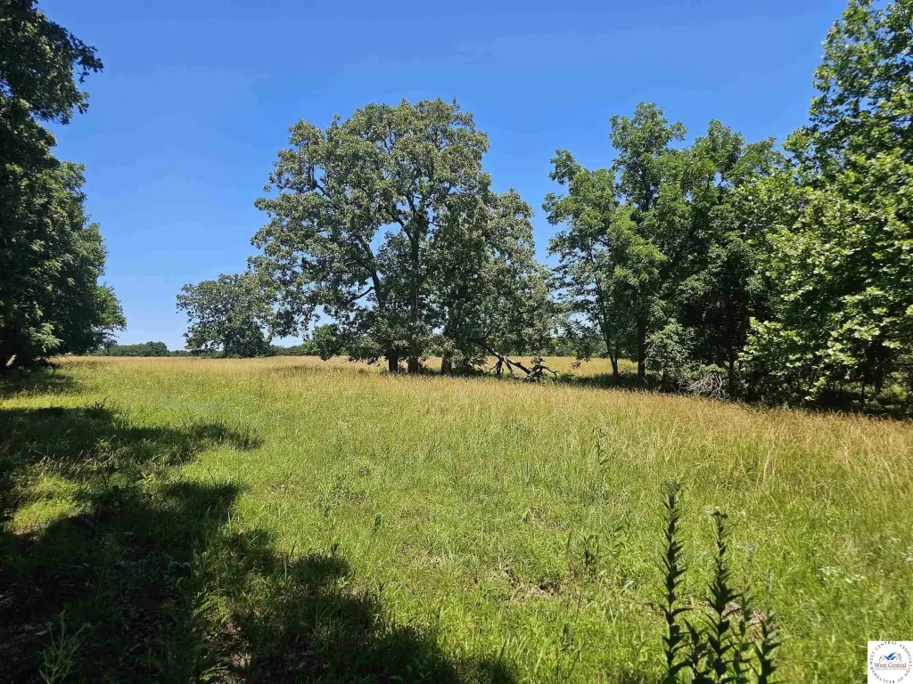 Picture 40
