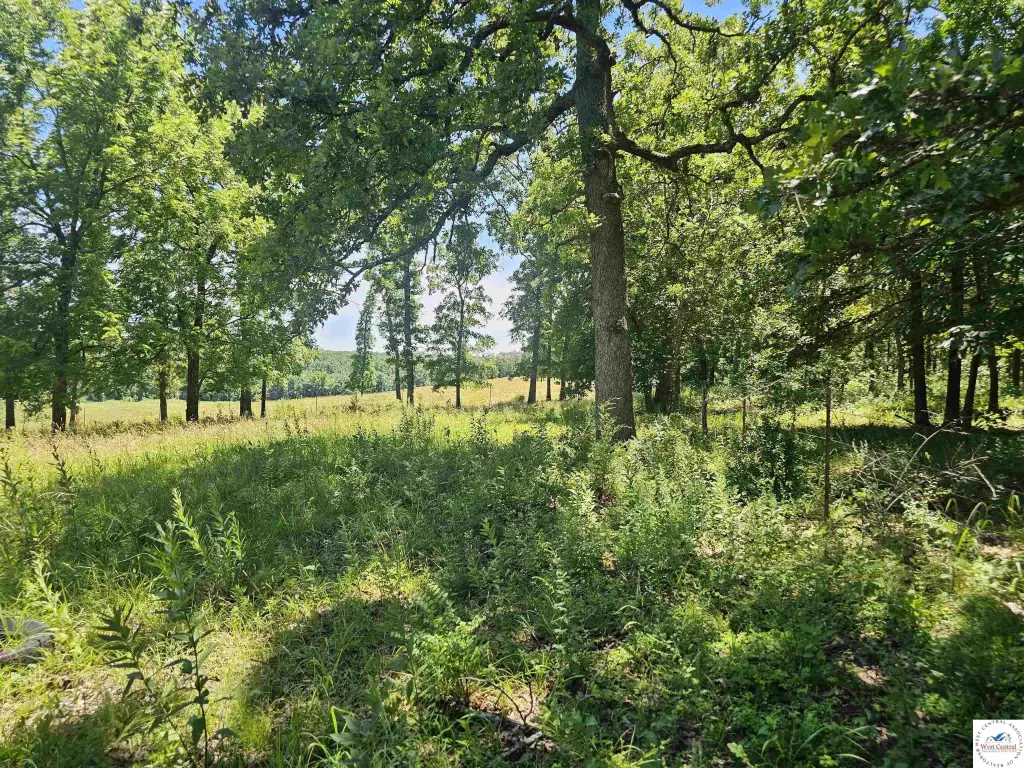 Picture 22
