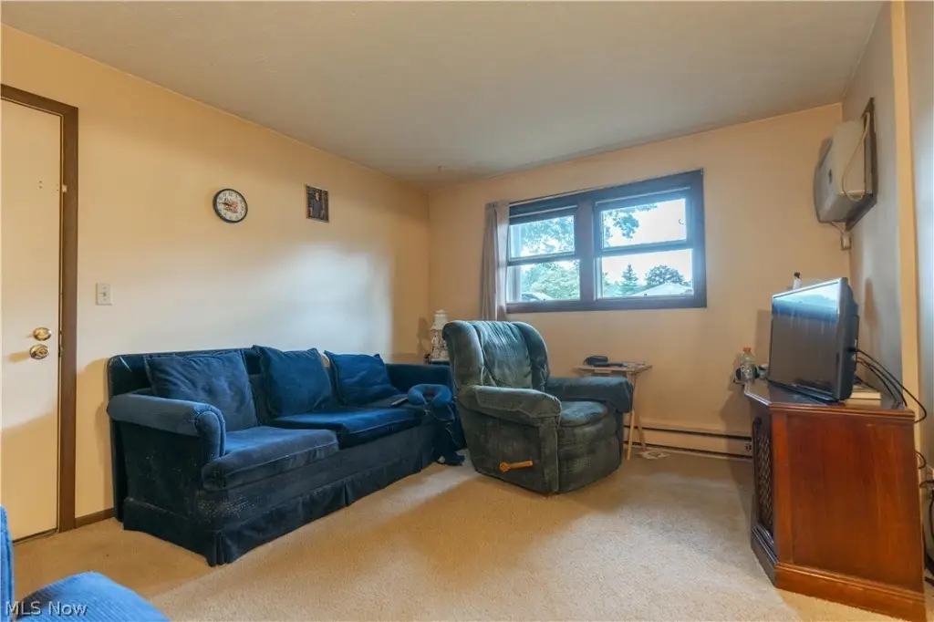 Picture 4