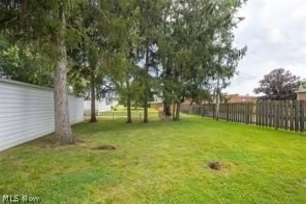 Picture 28