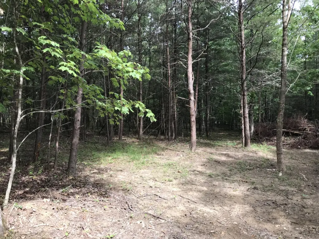 Picture 19