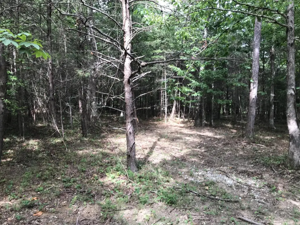 Picture 20