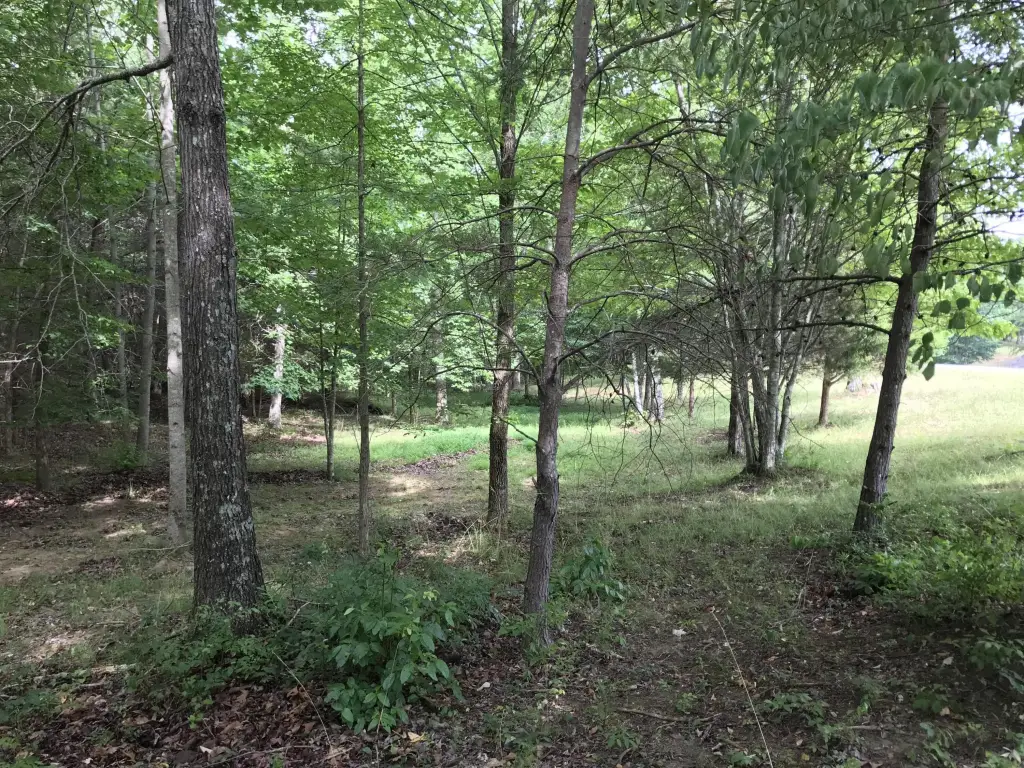 Picture 30