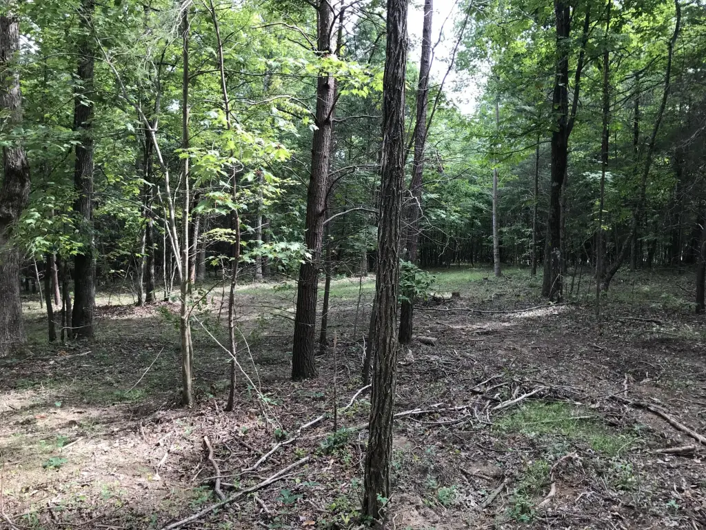 Picture 4