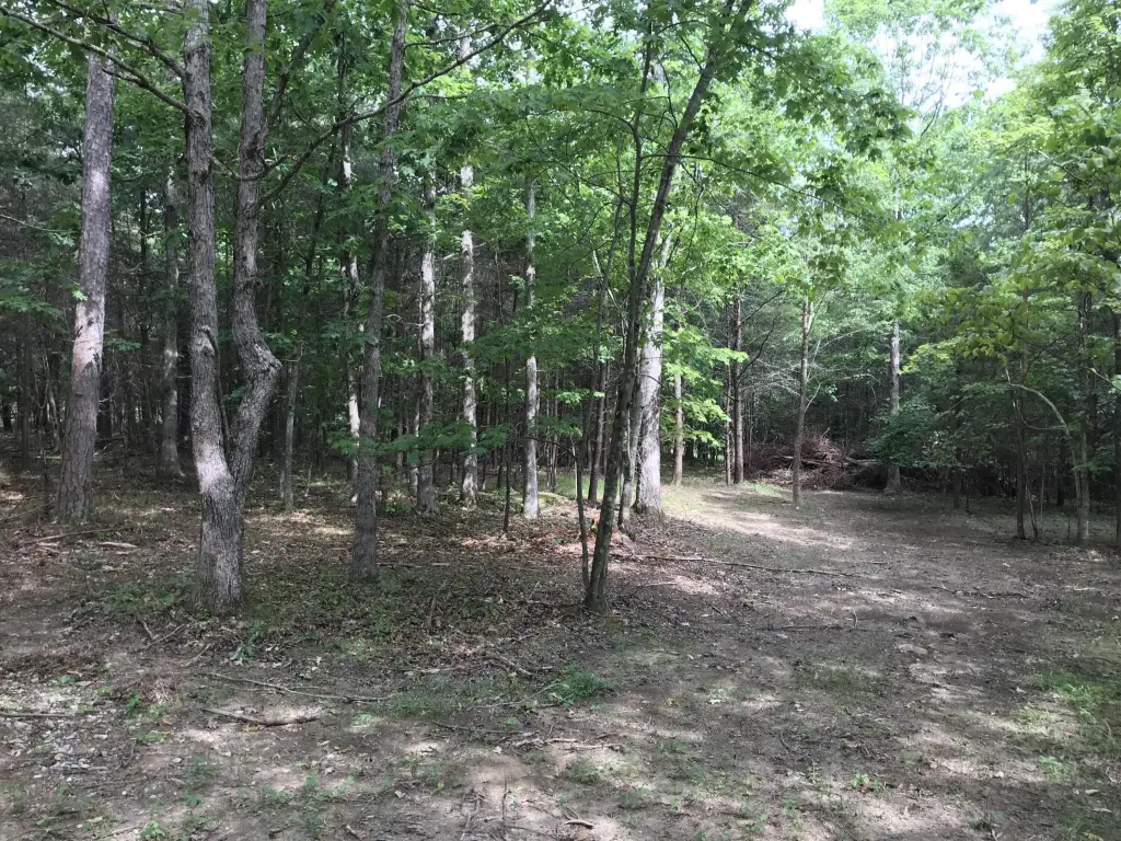 Picture 18