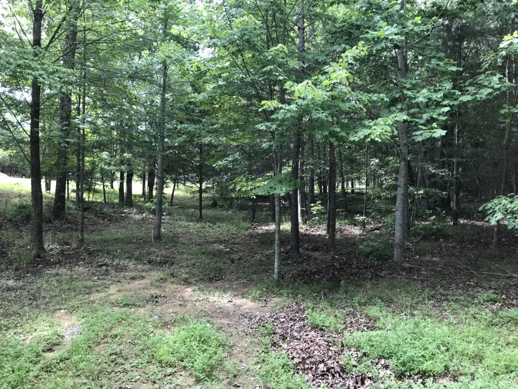 Picture 25