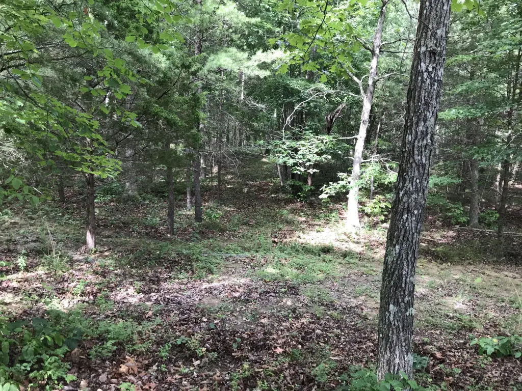 Picture 28