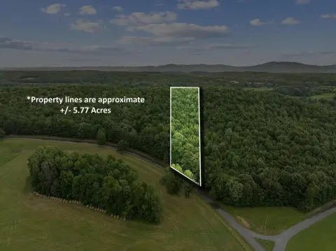 Wooded Mountain Acreage Tract