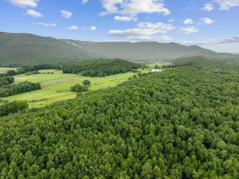 Wooded Mountain Acreage Tract