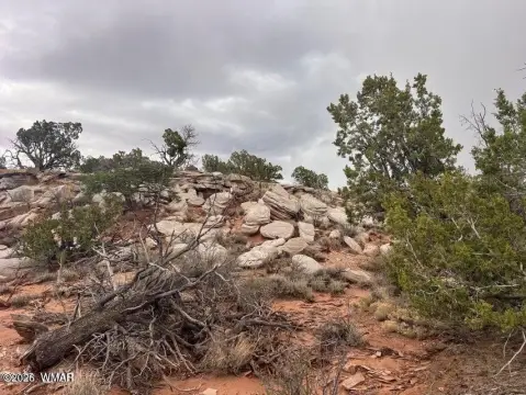 Remote Treed Land in Snowflake