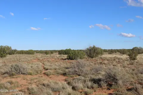 Heber, AZ 160-Acre Land Parcel