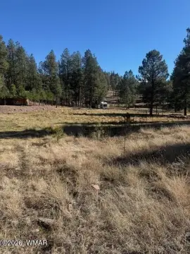 Vacant Land in Alpine, Arizona