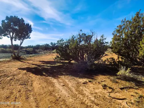 3.74 Acres in Snowflake, AZ