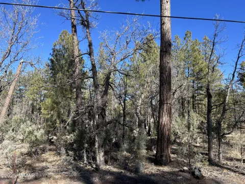 Lakeside Treed Land Parcel