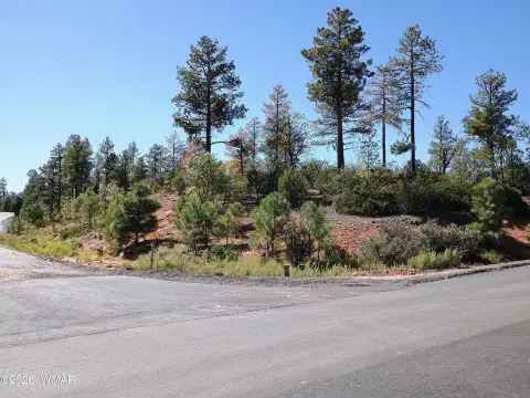 Lakeside, AZ Corner Lot