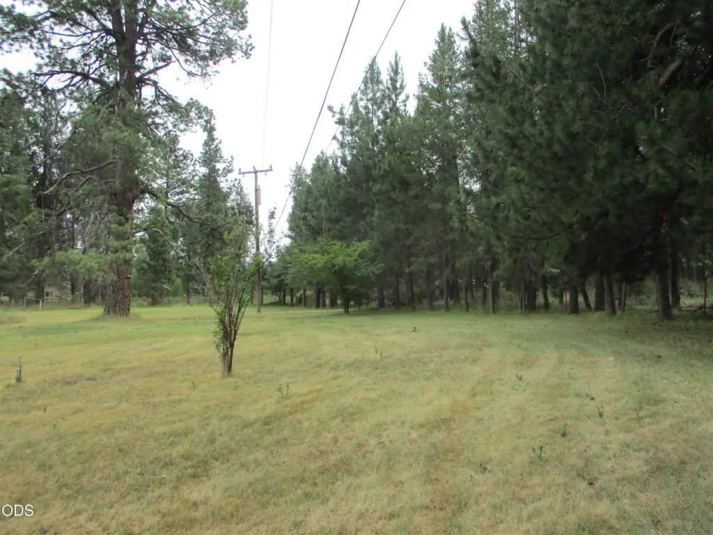 Picture 25