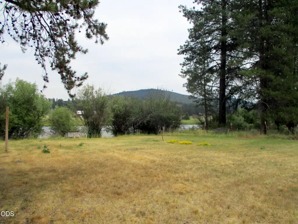 Picture 19