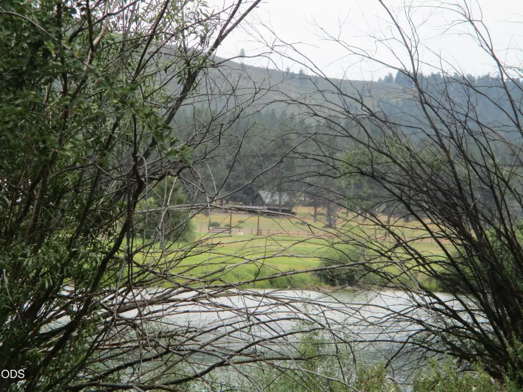 Picture 7