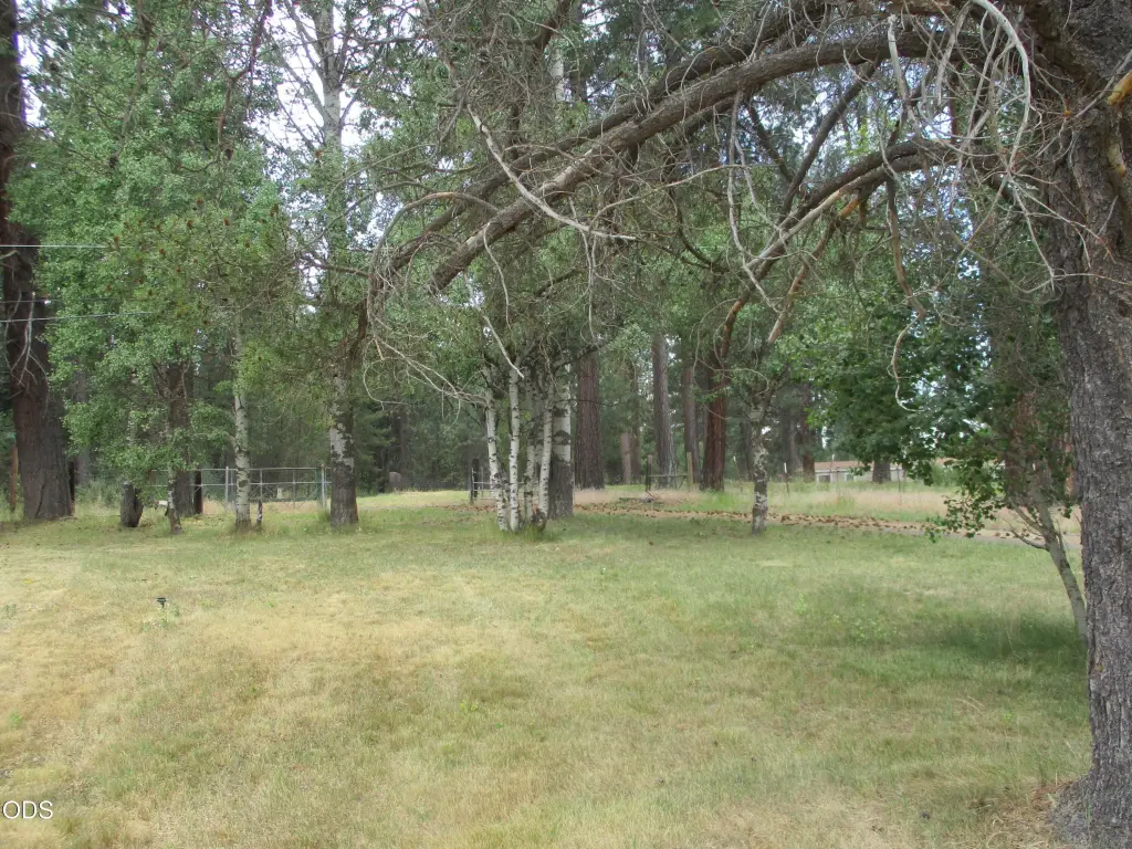 Picture 28