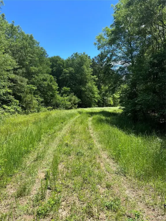 Picture 25