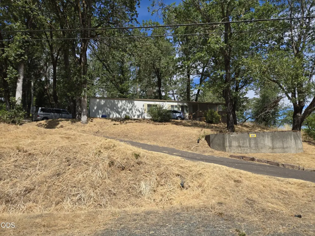 Picture 19