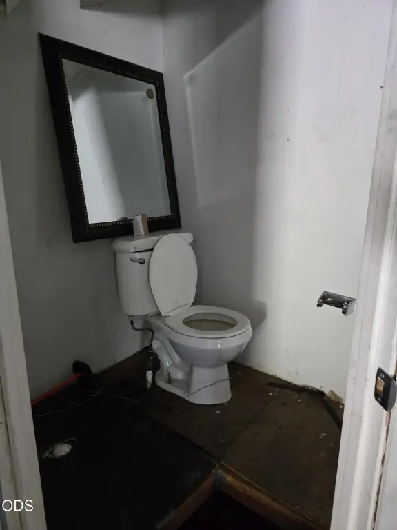 Picture 7