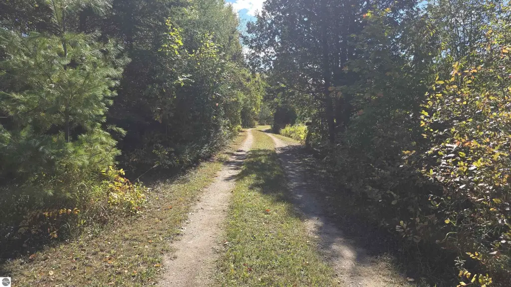 Picture 42