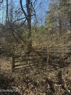 Wooded Lot Near Norris Lake