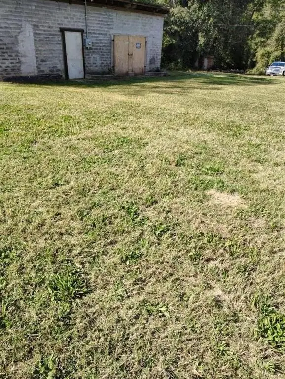 Picture 5