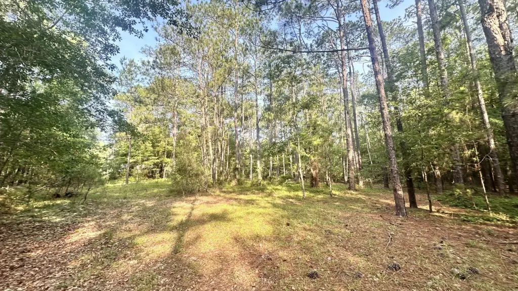 Picture 7