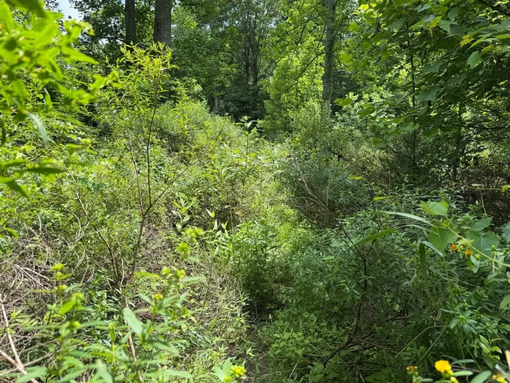Picture 24